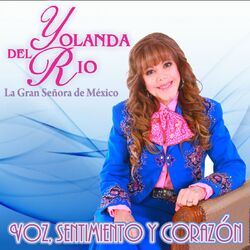 Cover of Voz, Sentimiento Y Corazon...