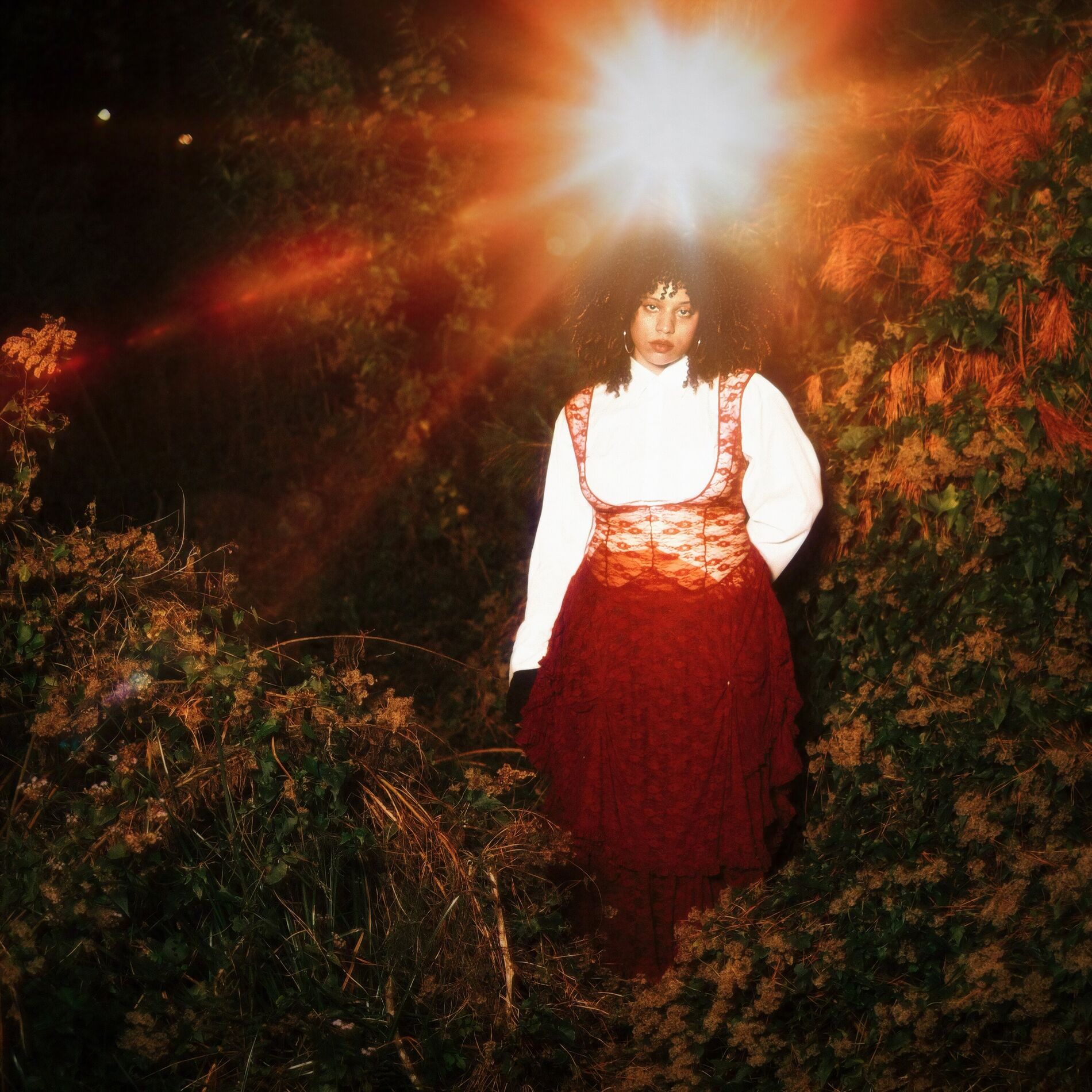 Album cover of fall asleep