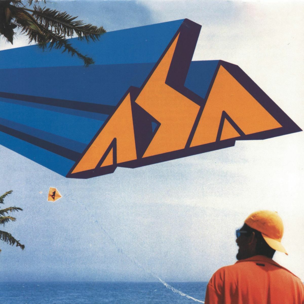 Album cover of Asa De Águia