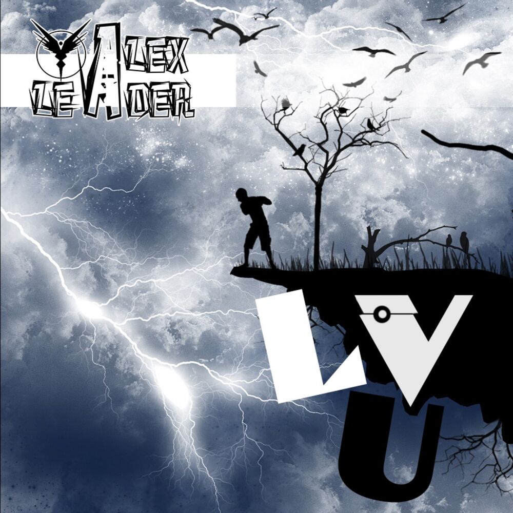 Picture of LV U