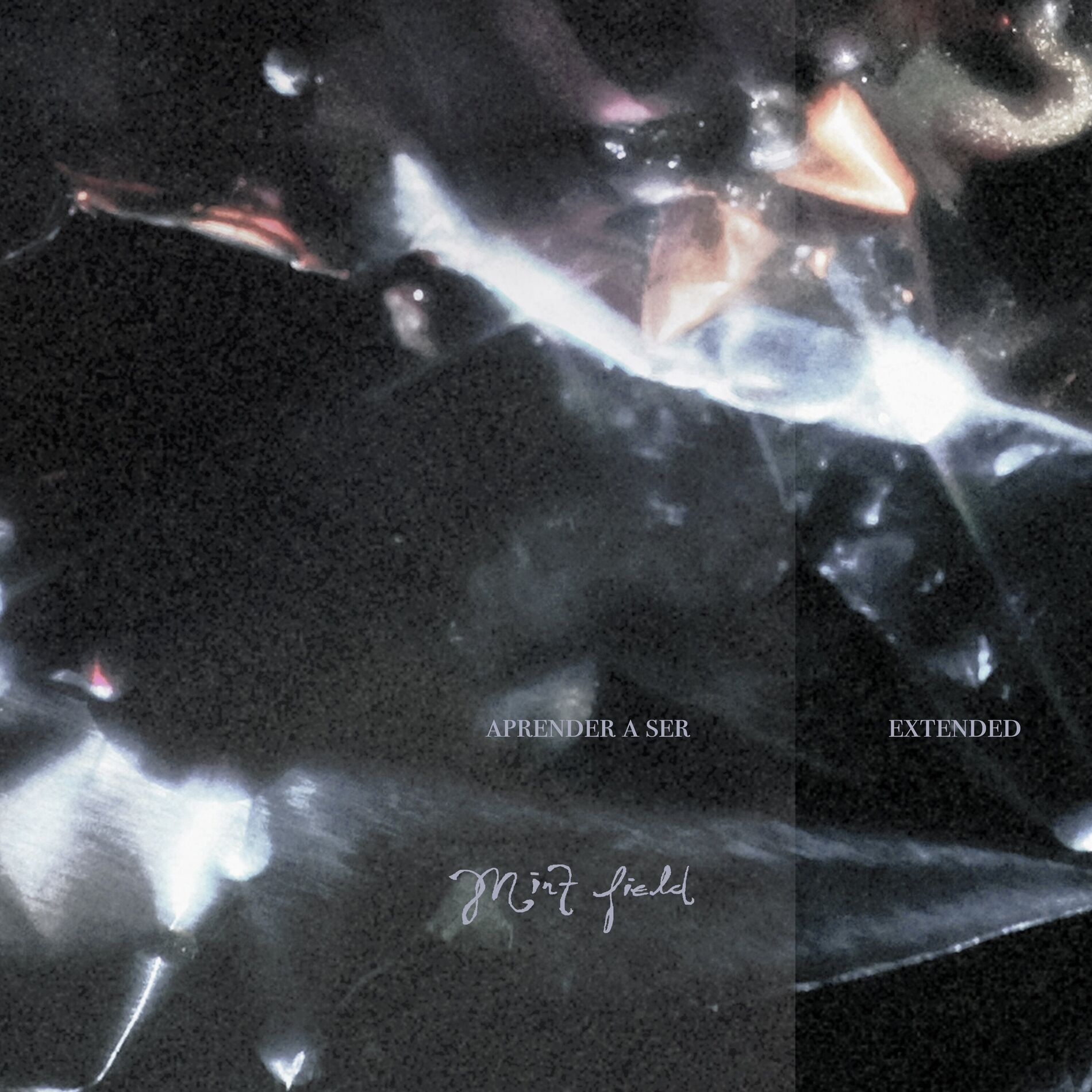 Album cover of Aprender a Ser: Extended
