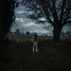 Cover of Stay Down