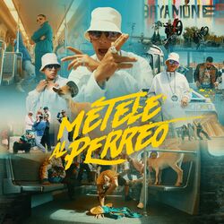 Cover of MÉTELE AL PERREO