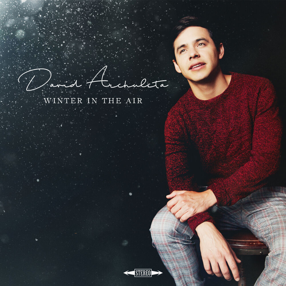 Picture of Winter in the Air
