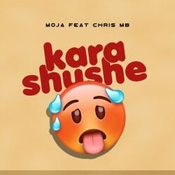Cover of Karashushe