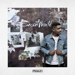 Cover of Secret World