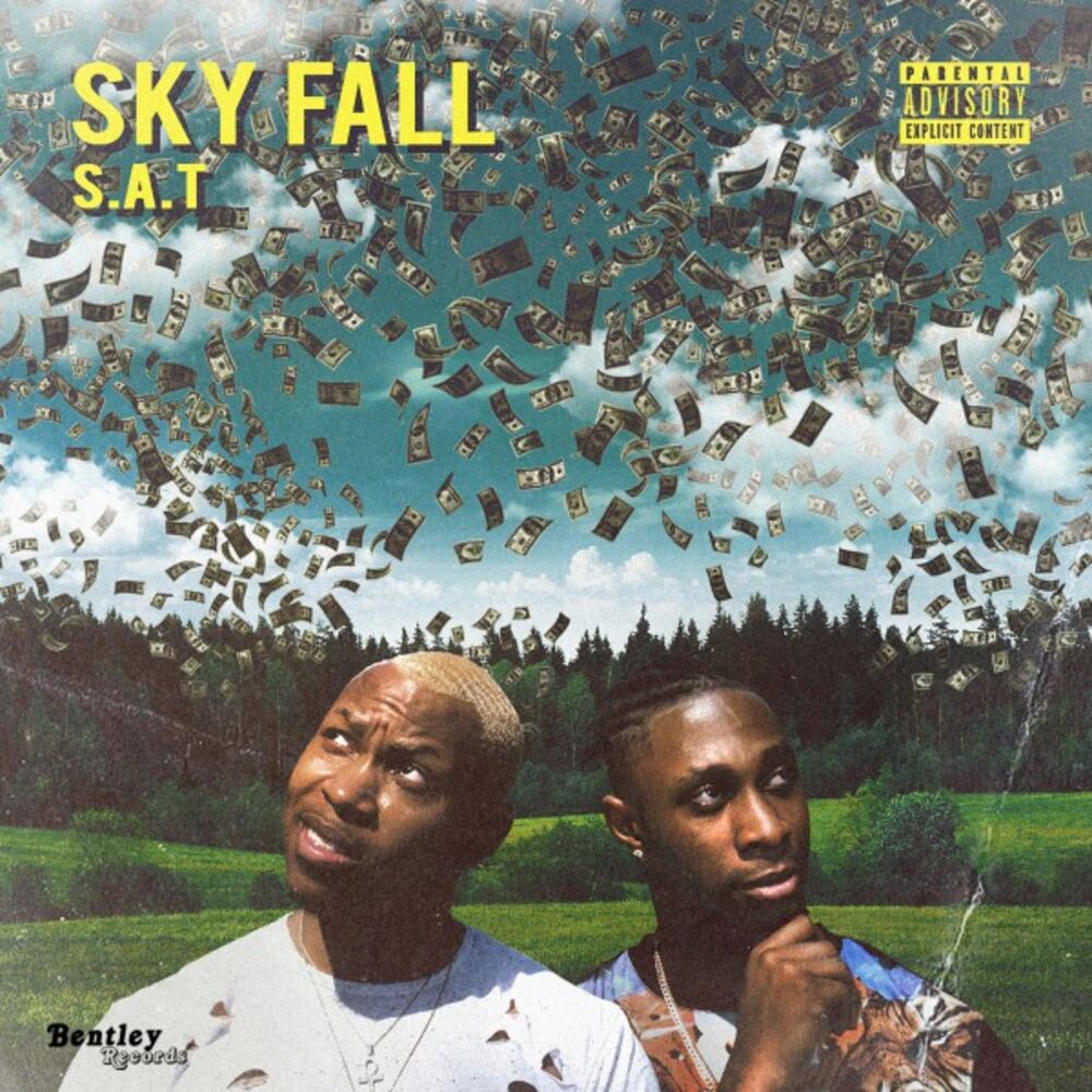 Picture of Skyfall