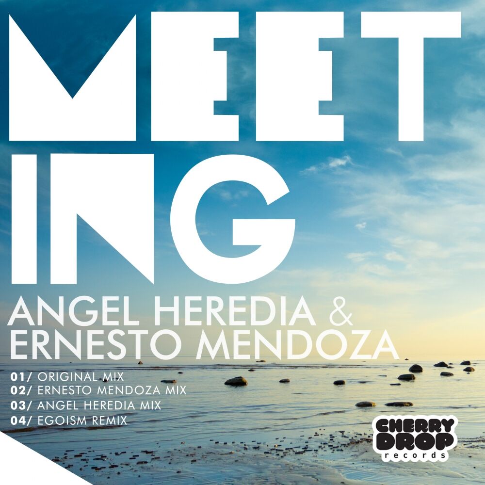 Picture of Meeting