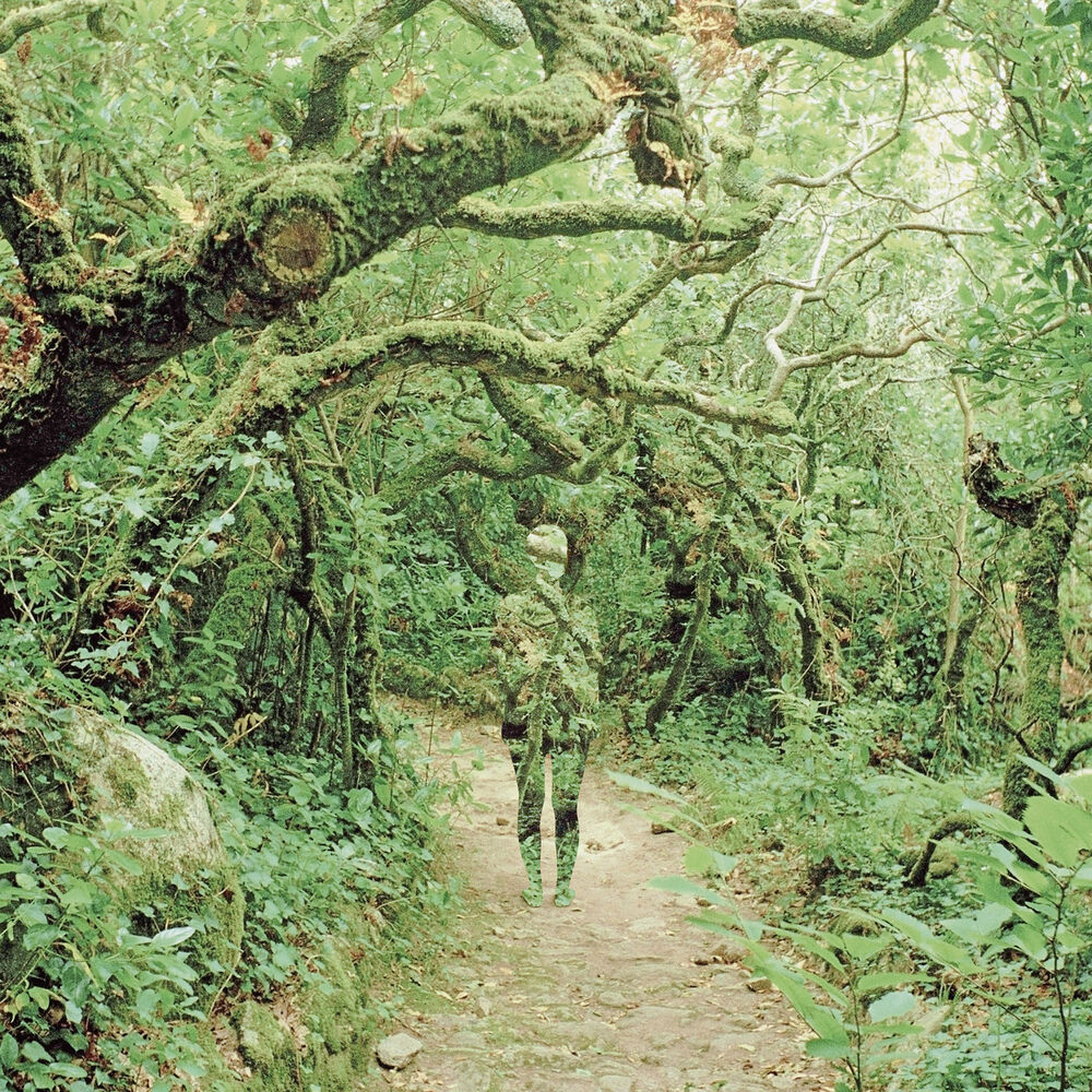 Picture of Eclosure