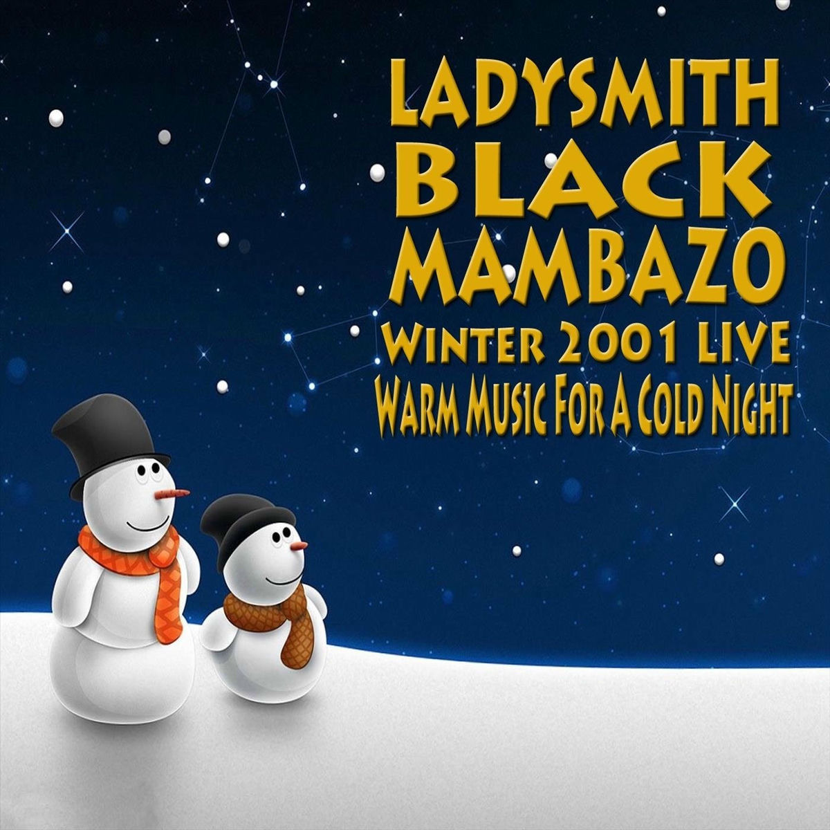 Album cover of Winter 2001 Live: Warm Music for a Cold Night!