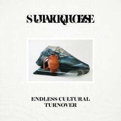 Cover of Endless Cultural Turnover