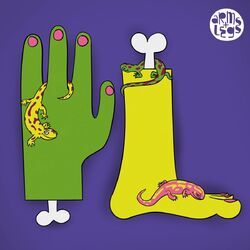 Cover of Salamander EP