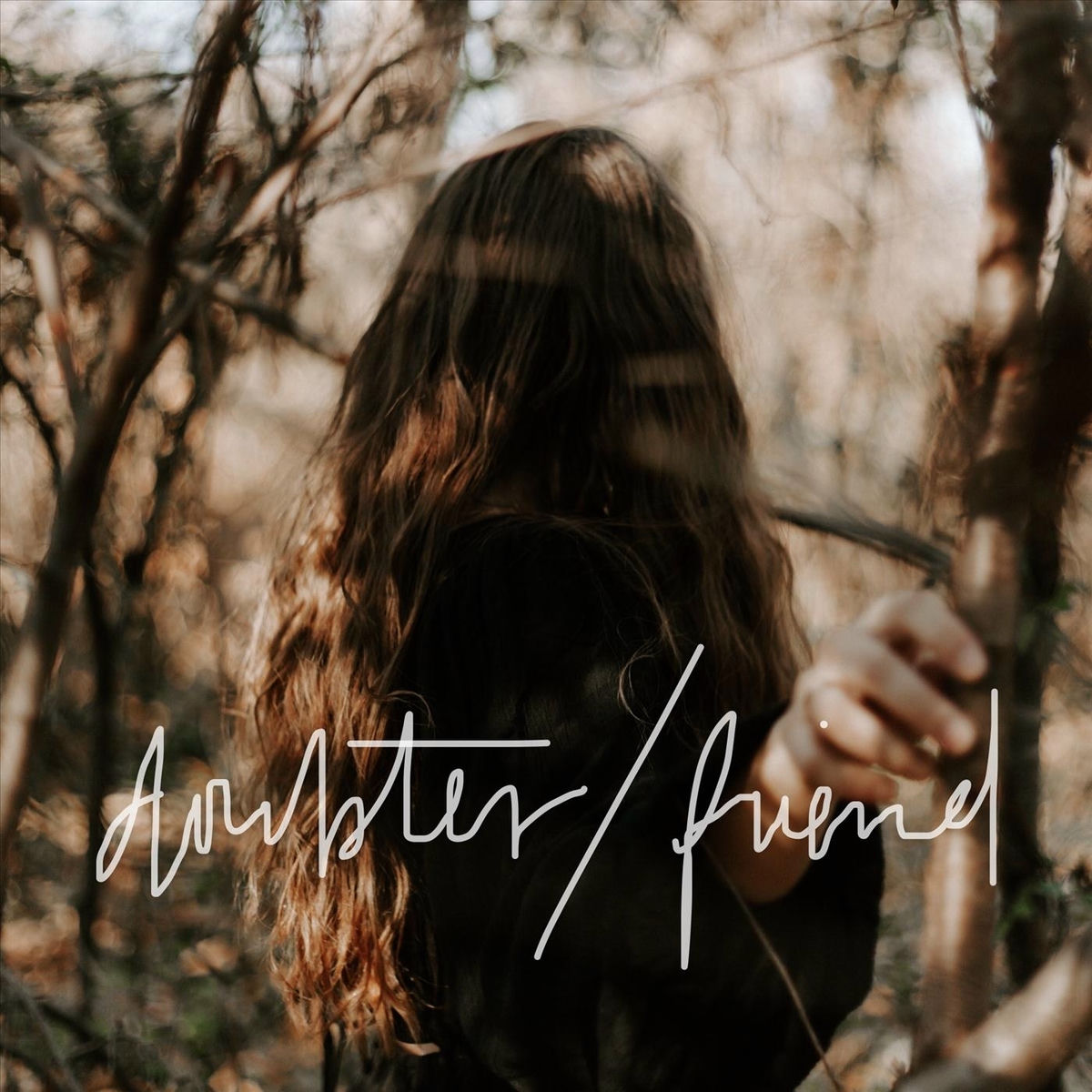 Album cover of Doubter / Friend