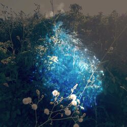 Cover of Unrosive