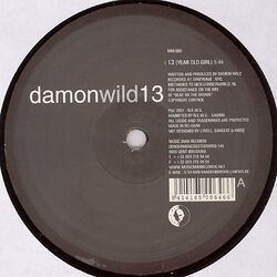 Cover of 13