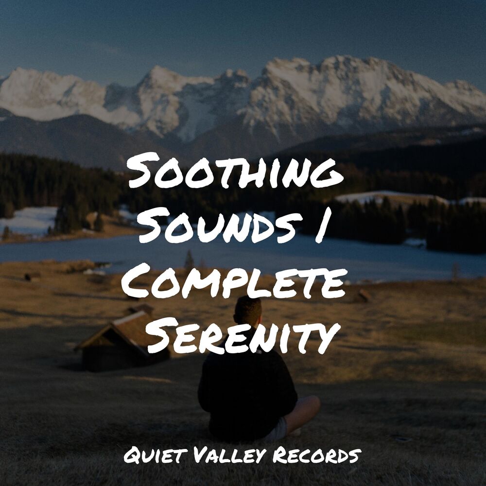 Picture of Soothing Sounds | Complete Serenity