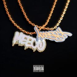 Cover of WE RUN SHIT
