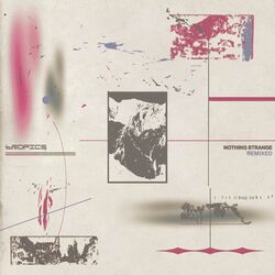 Cover of Scattering (Cameo Blush Remix)