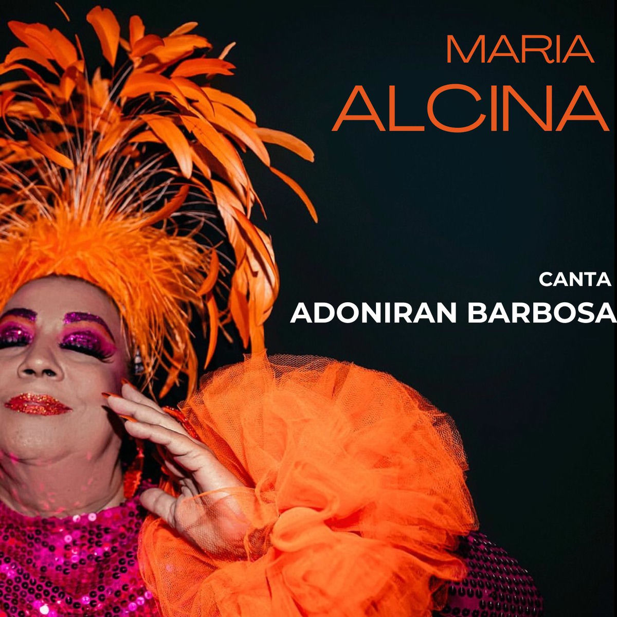 Album cover of Canta Adoniran Barbosa