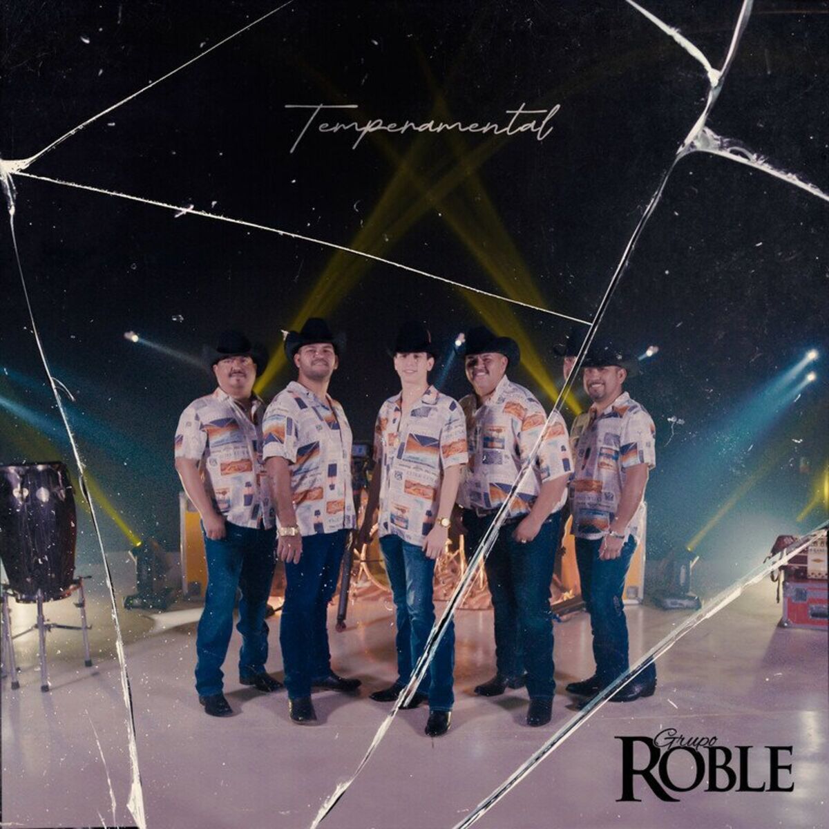 Album cover of Temperamental