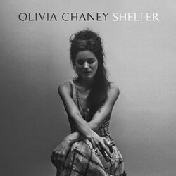 Cover of Shelter