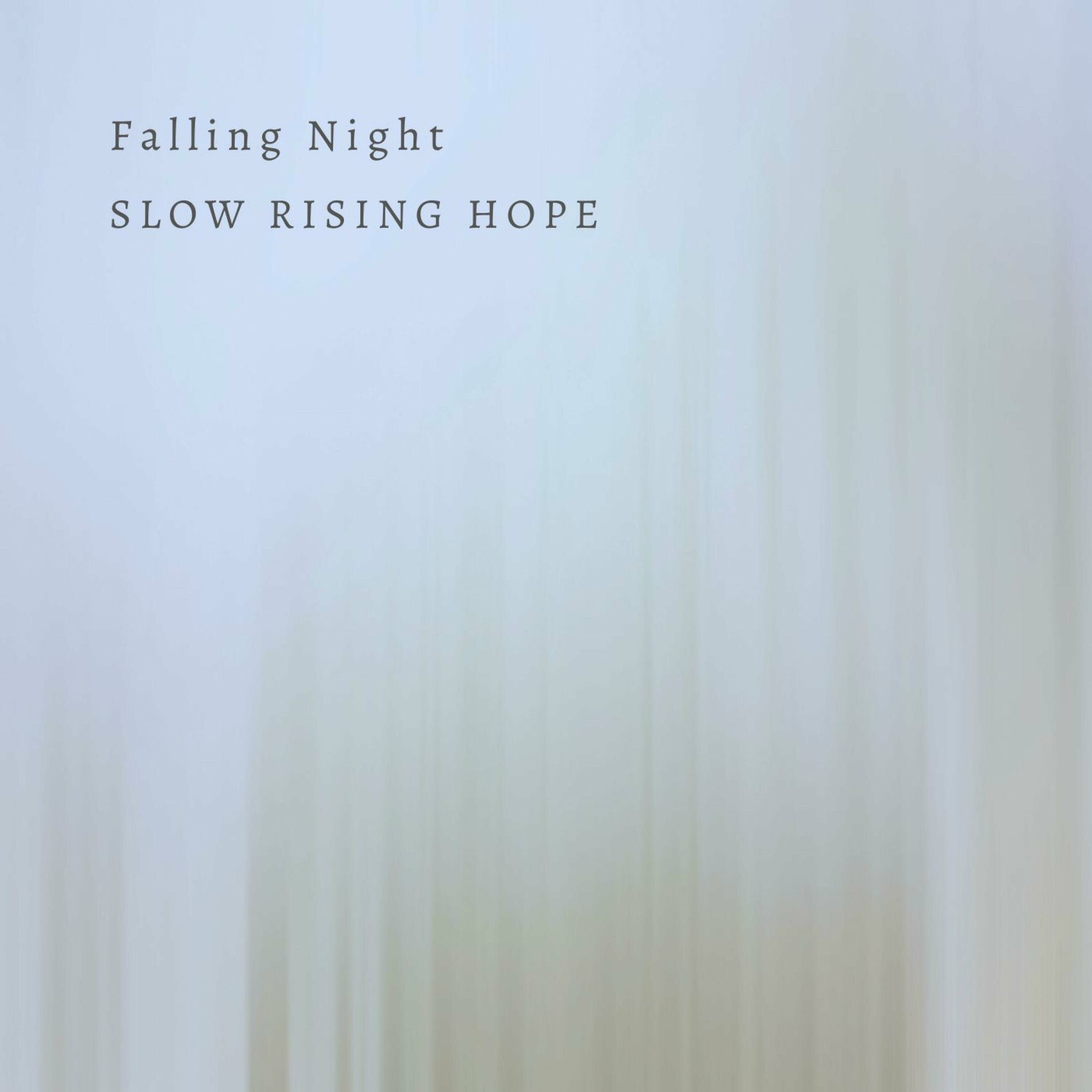 Album cover of Falling Night (Violin Version)