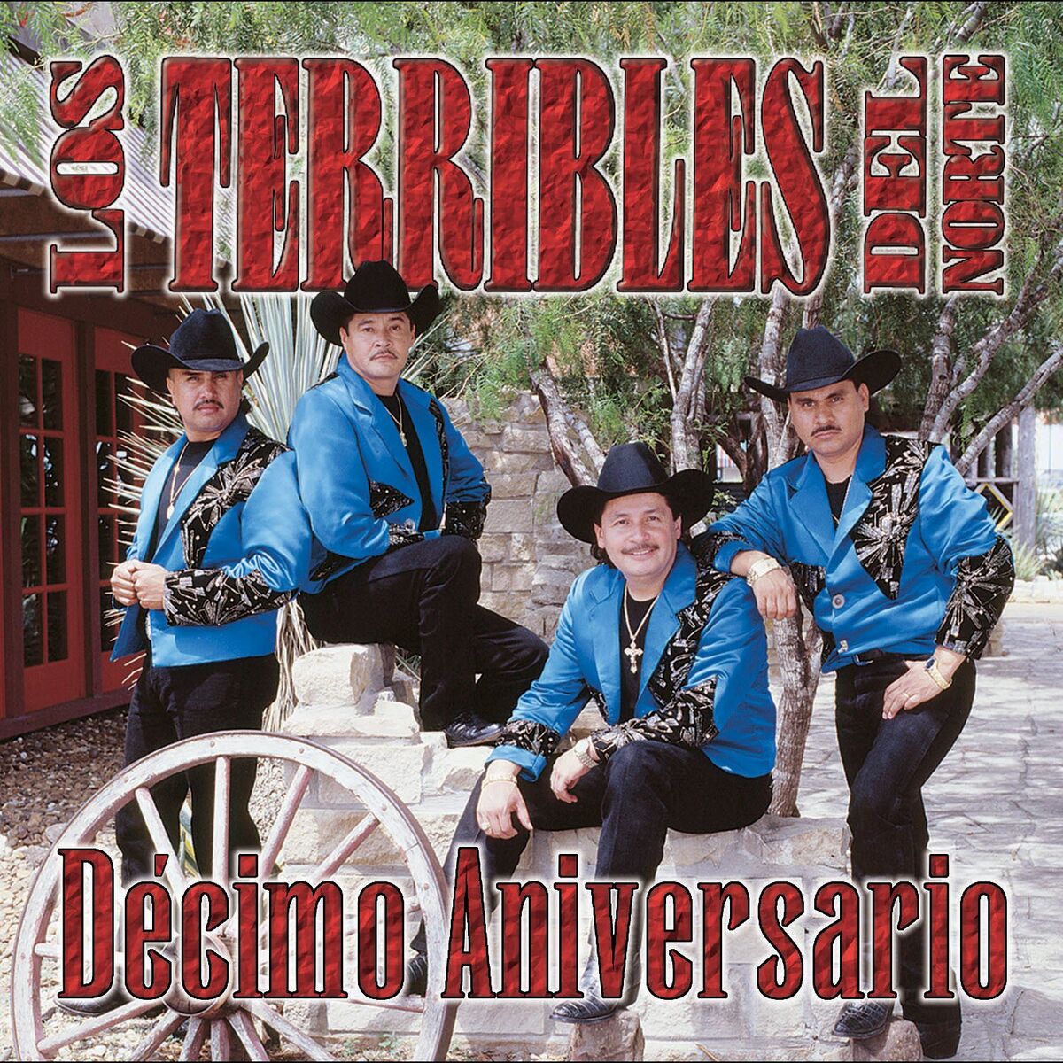 Album cover of Te Fuiste