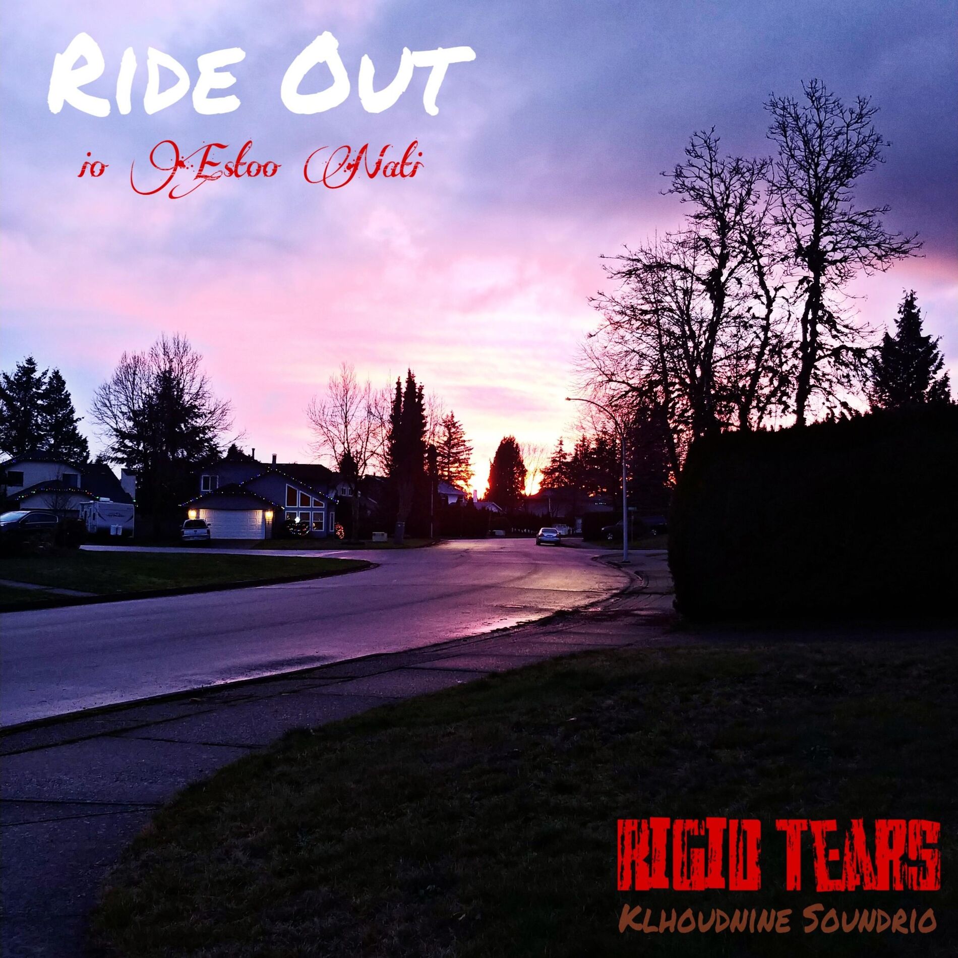 Album cover of Ride Out