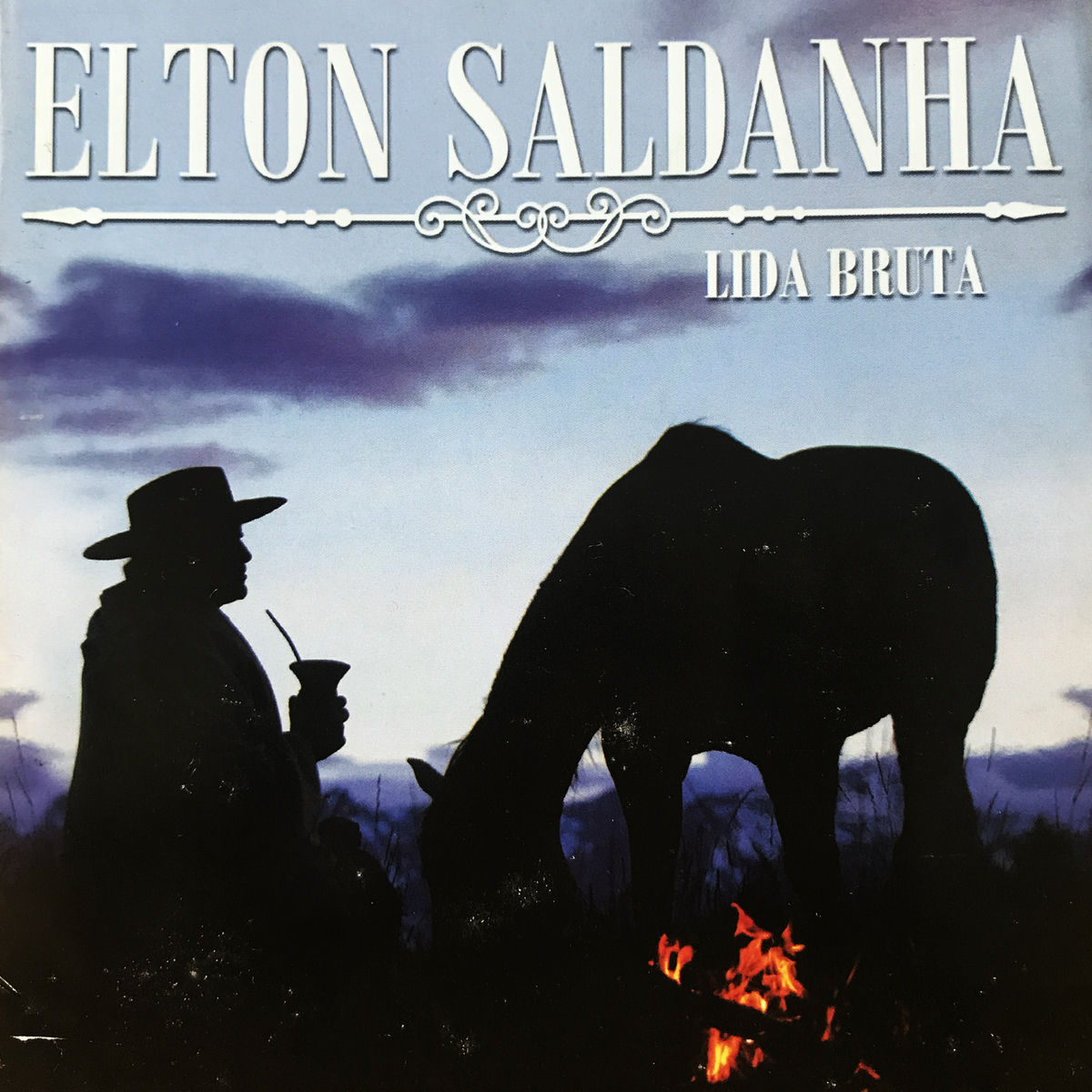 Album cover of Lida Bruta
