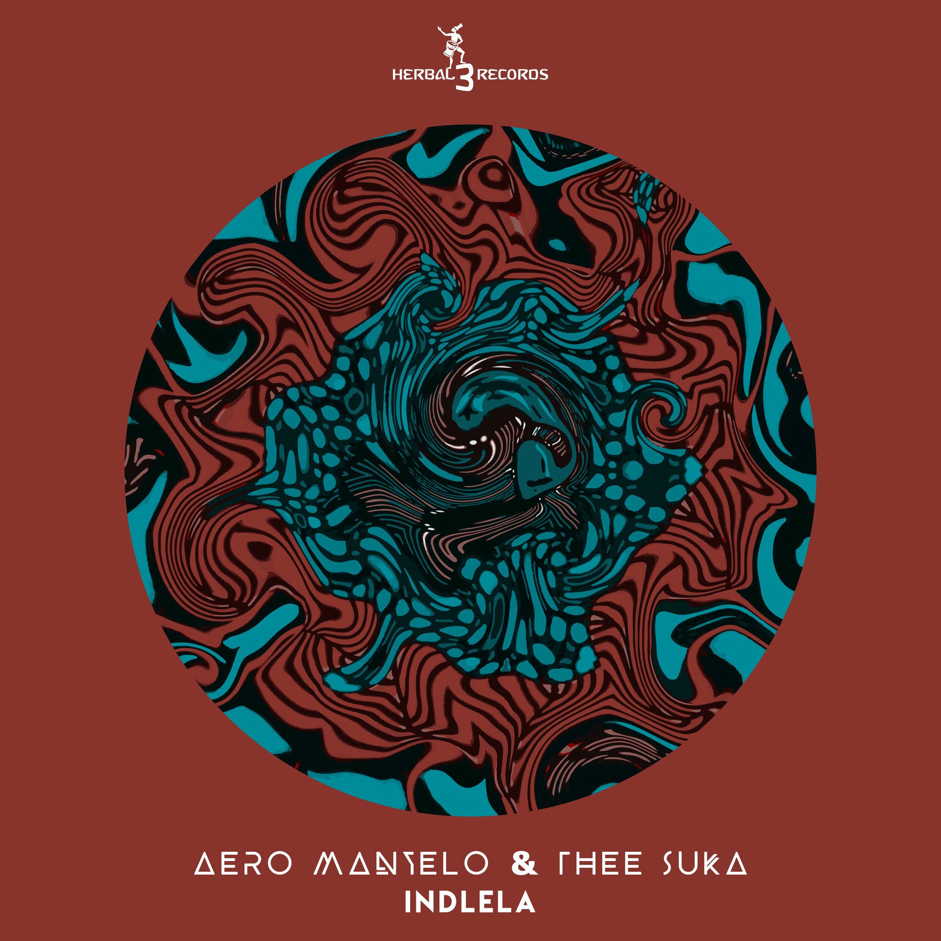 Album cover of Indlela