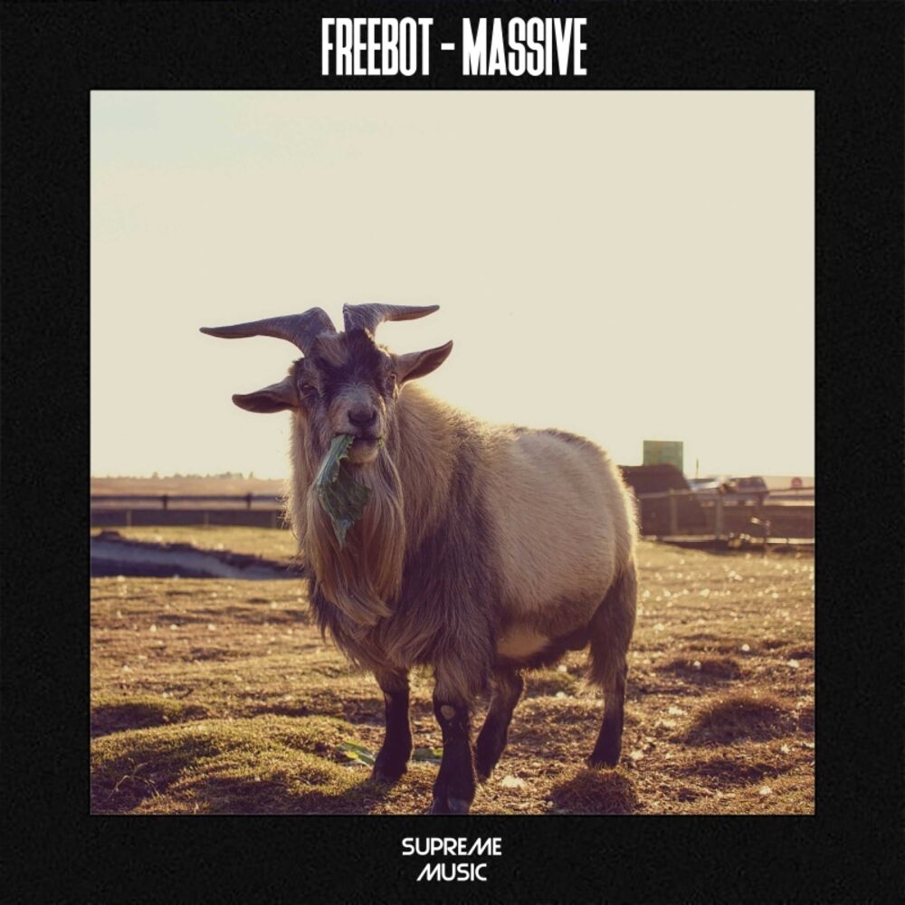 Picture of Massive
