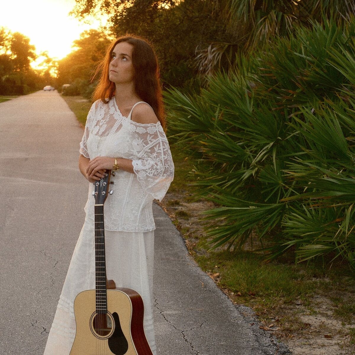 Album cover of Southeast Dixie Highway
