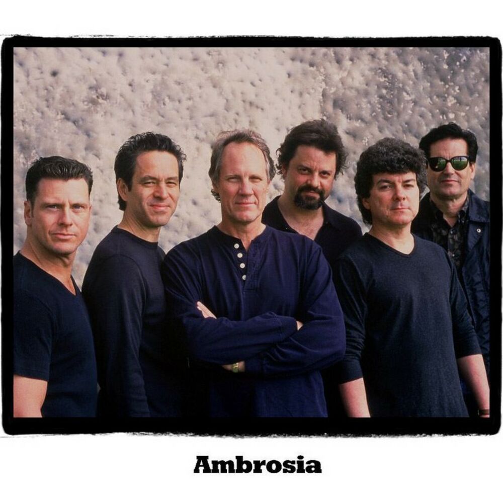 Picture of Ambrosia