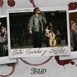 Cover of Entre Cuerdas y Botellas, Vol. 2