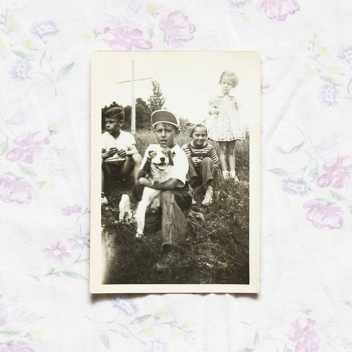 Album cover of Constance