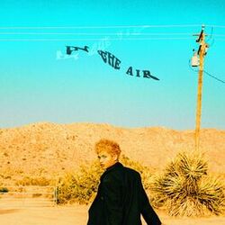 Cover of IN THE AIR