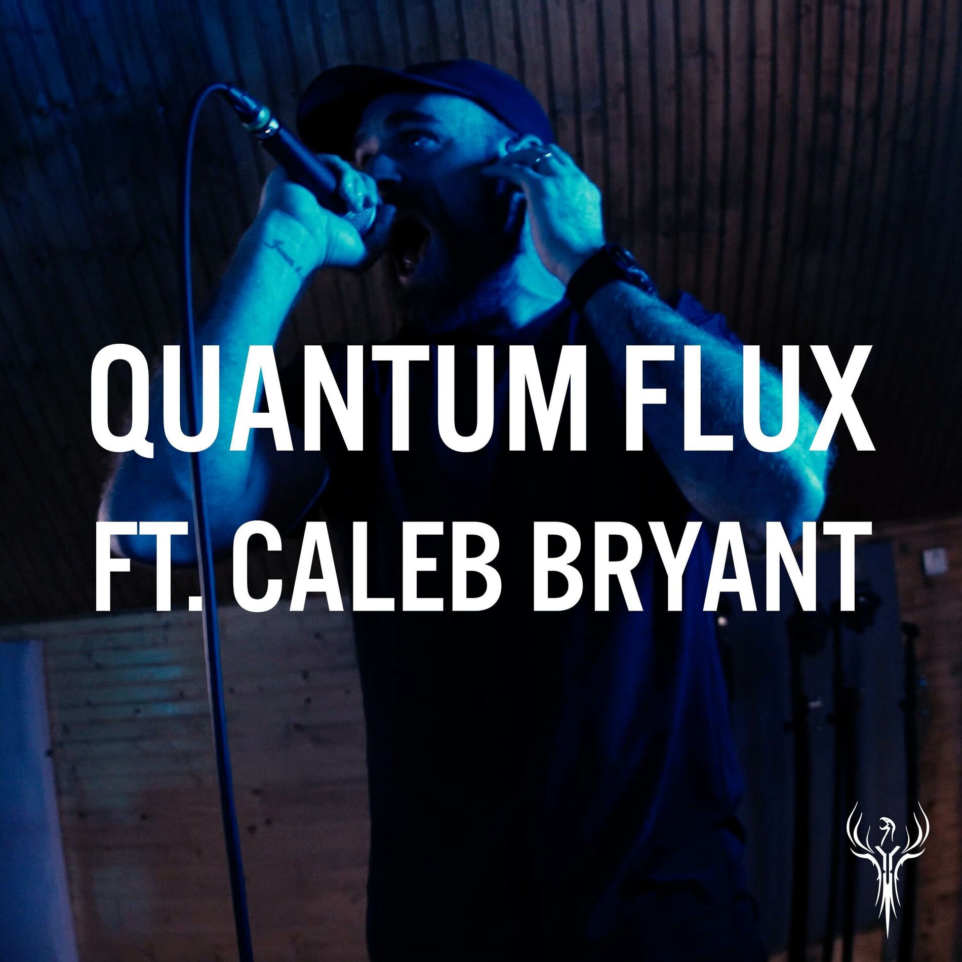 Album cover of Quantum Flux
