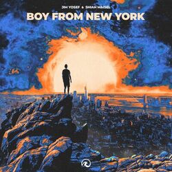 Cover of Boy From New York