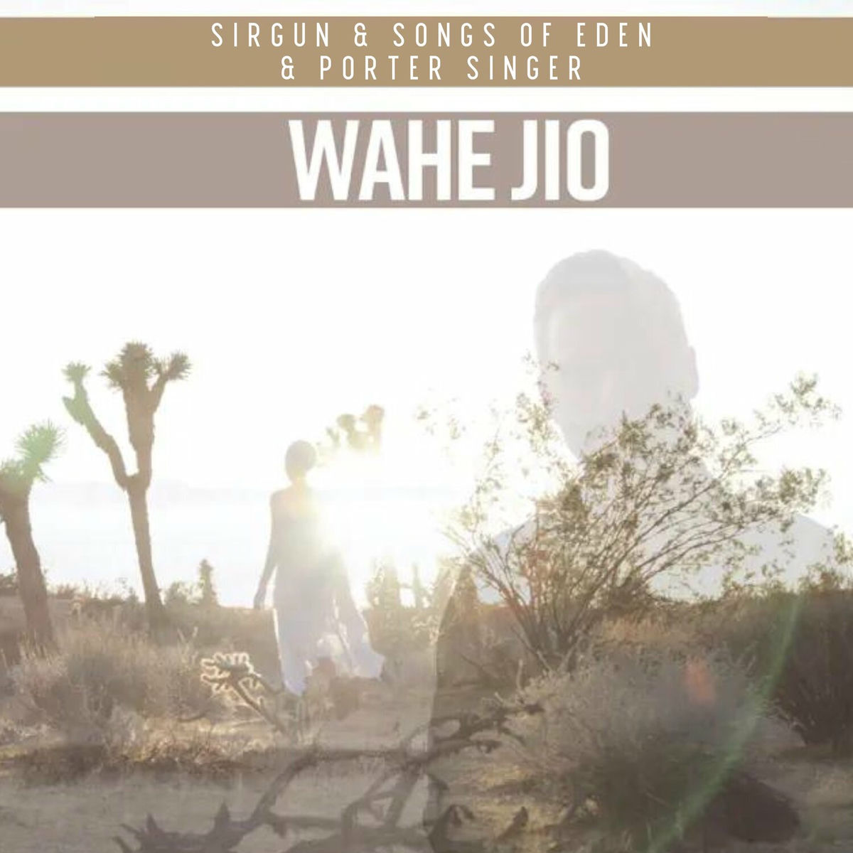 Album cover of Wahe Jio