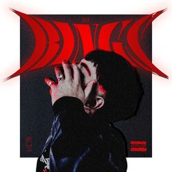 Cover of RINGS