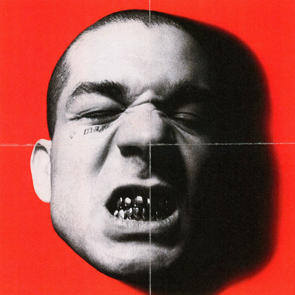 Album cover of Caballo Negro