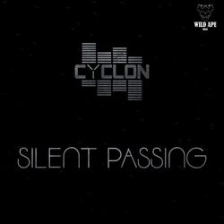 Cover of Silent Passing