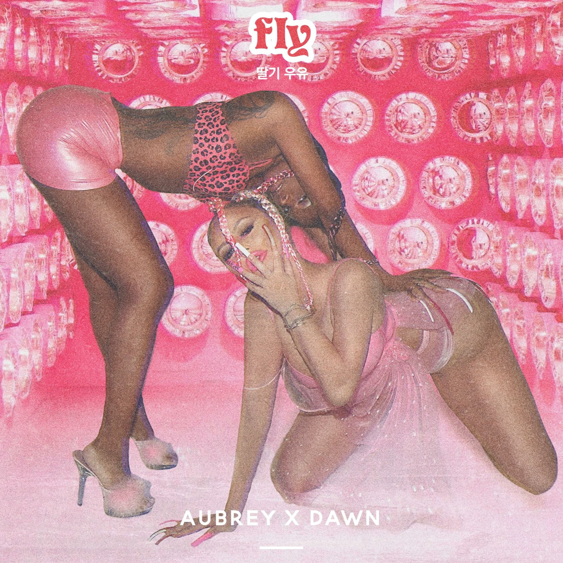 Album cover of Fly