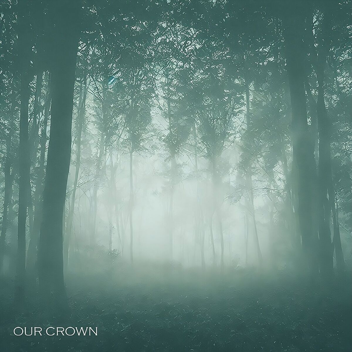 Album cover of Our Crown