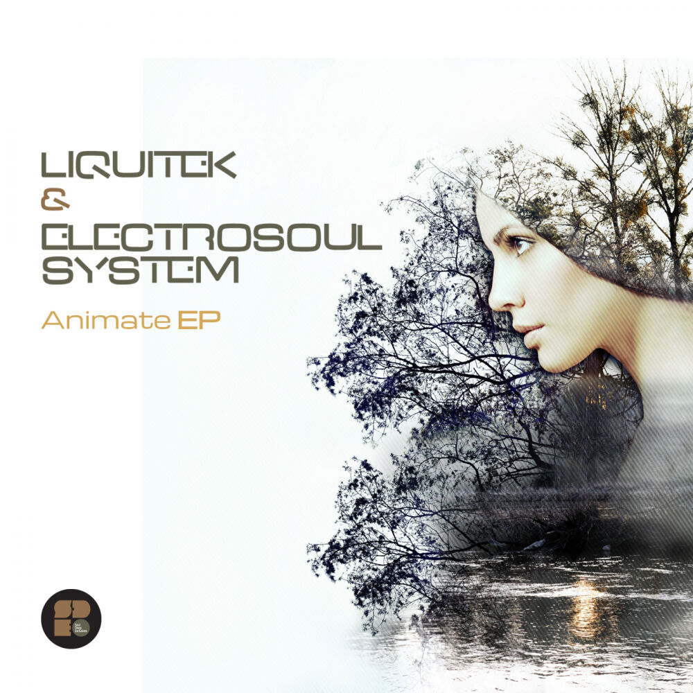 Picture of Animate EP