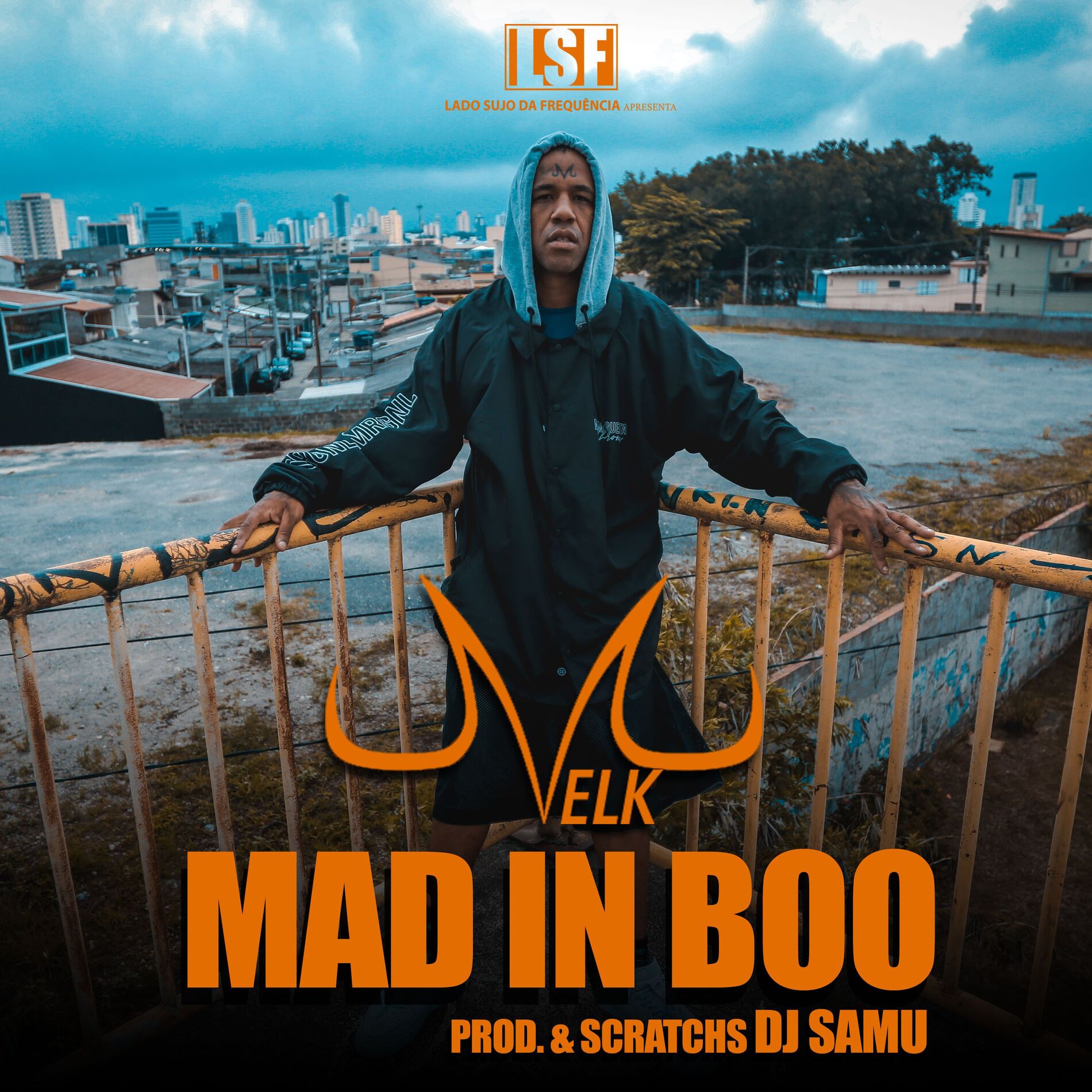 Album cover of Mad In Boo