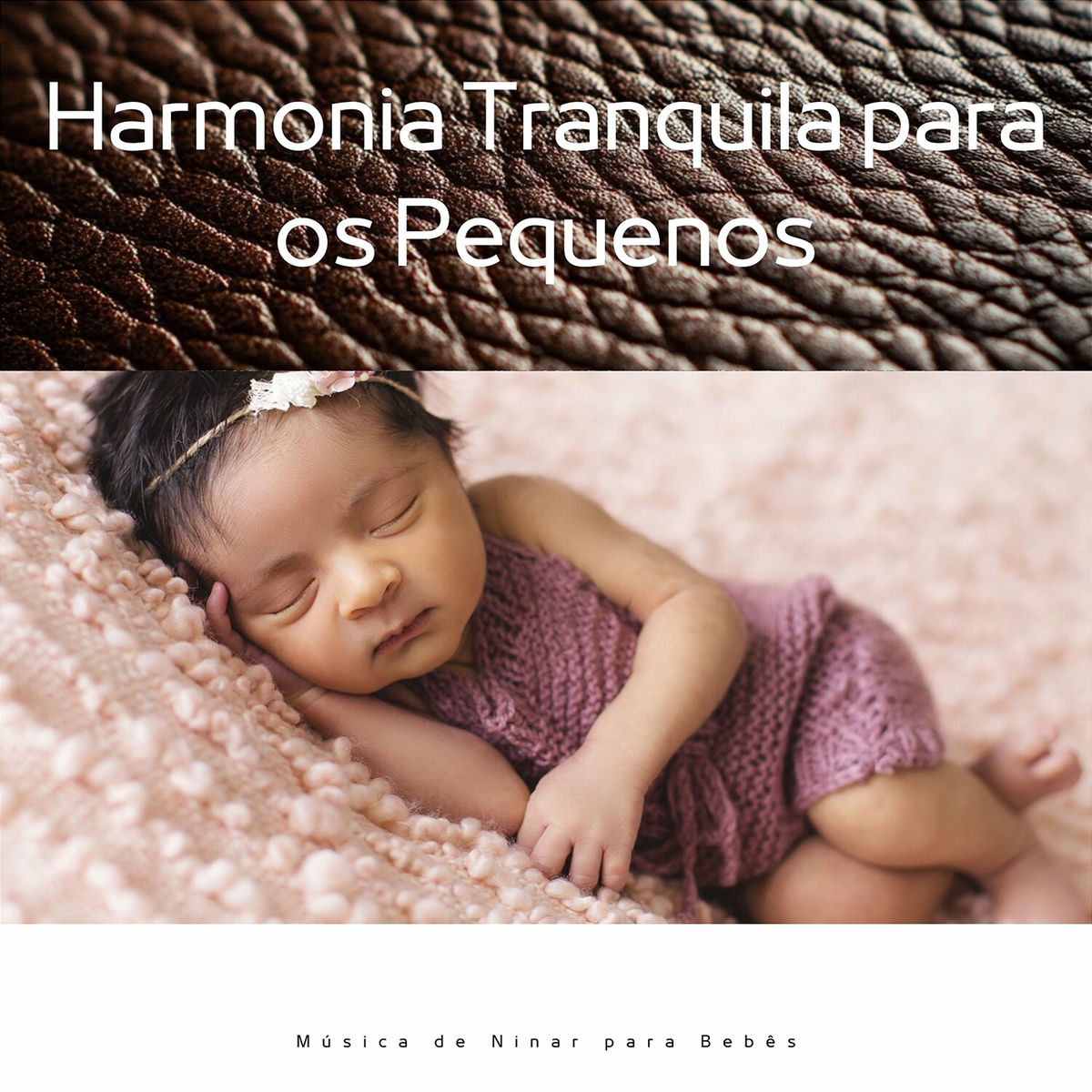Album cover of Harmonia Tranquila para os Pequenos