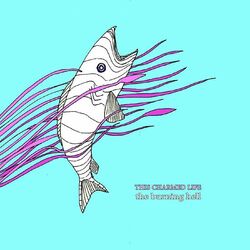 Cover of This Charmed Life