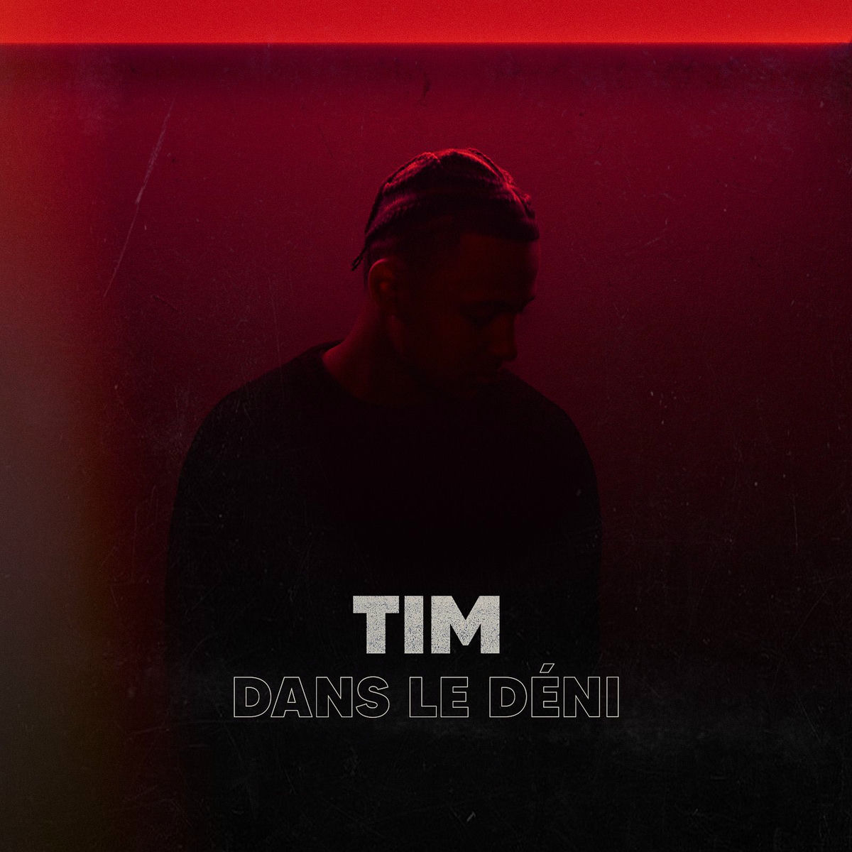 Album cover of Dans le déni