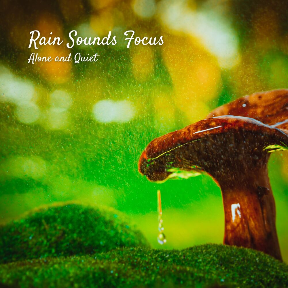 Picture of Rain Sounds Focus: Alone and Quiet